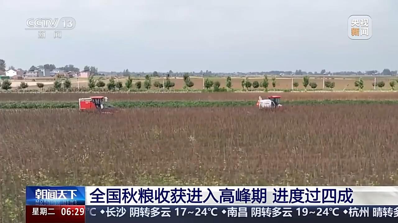 全国秋粮收获进入高峰期 进度过四成麻将胡了游戏寒露时节好“丰”景！(图3)