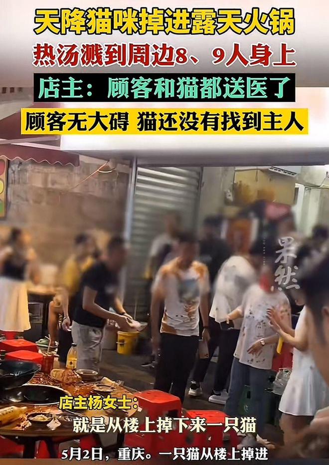 场面！9人被烫店主操作直接封神！麻将胡了重庆火锅店上演飞猫扑锅名